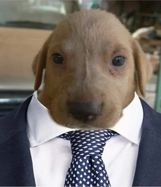 José Luis — evil twin in a suit, scheming